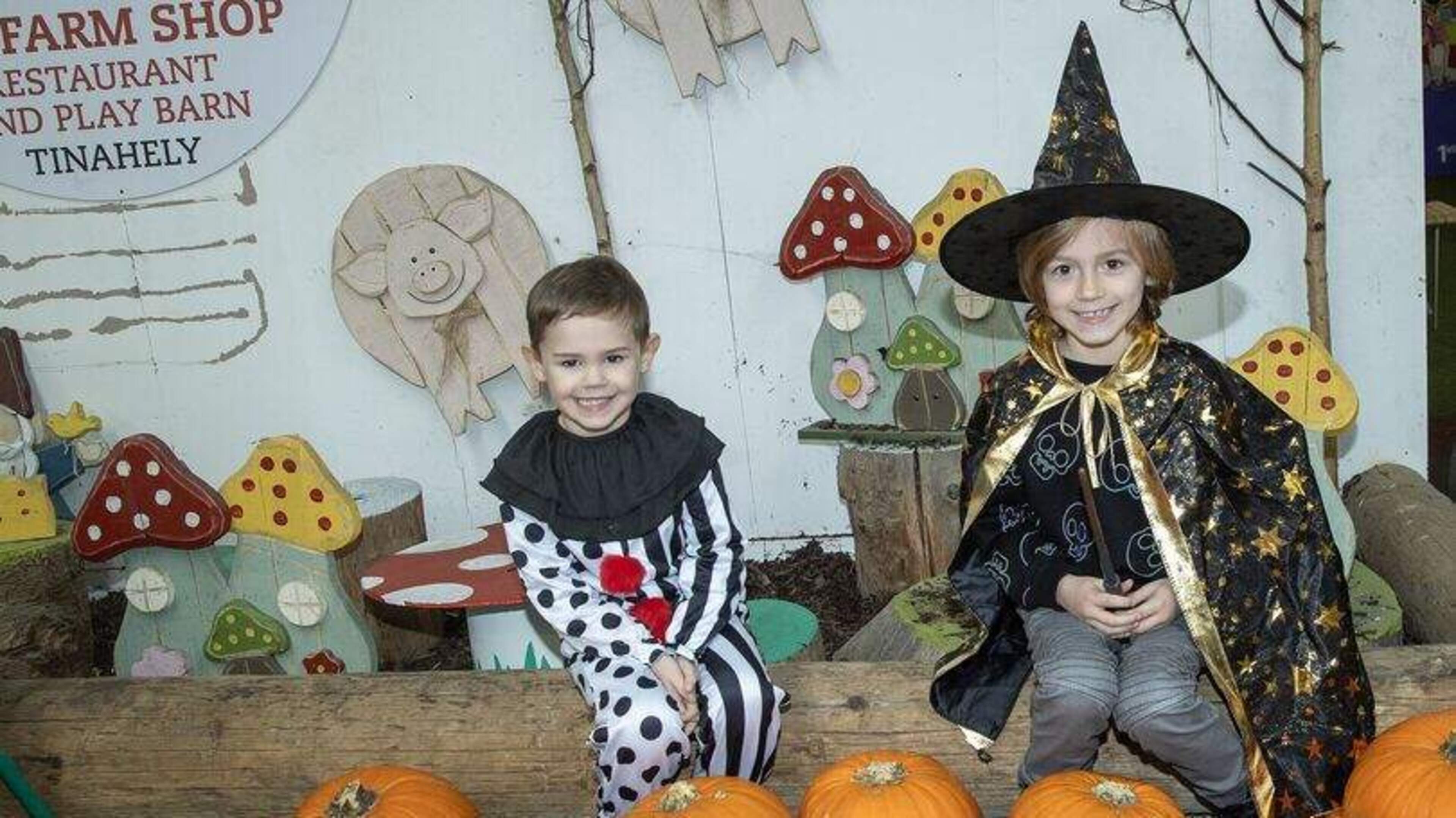 Halloween in Wicklow 2026: Your guide to pumpkin patches and spooky fun
